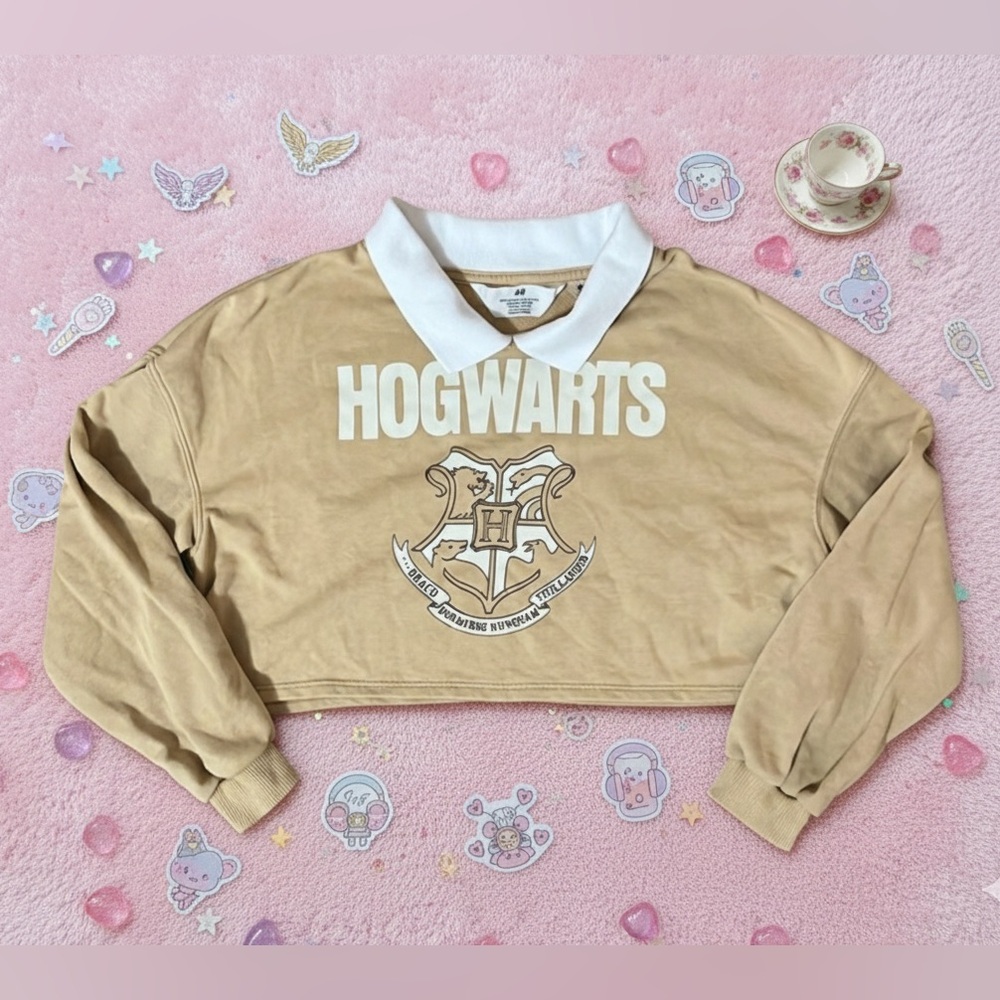 Hogwarts Crop Top